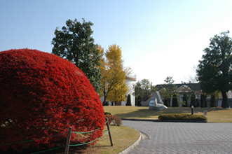 竜王北部公園の画像