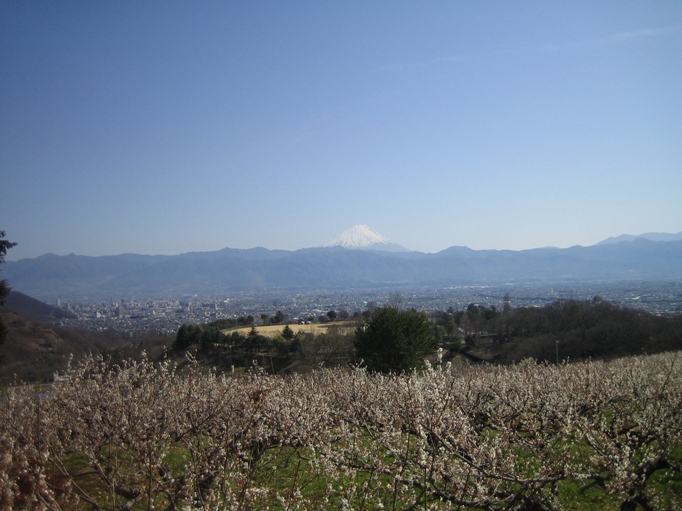 周辺の梅園から公園と富士山を望むときの風景