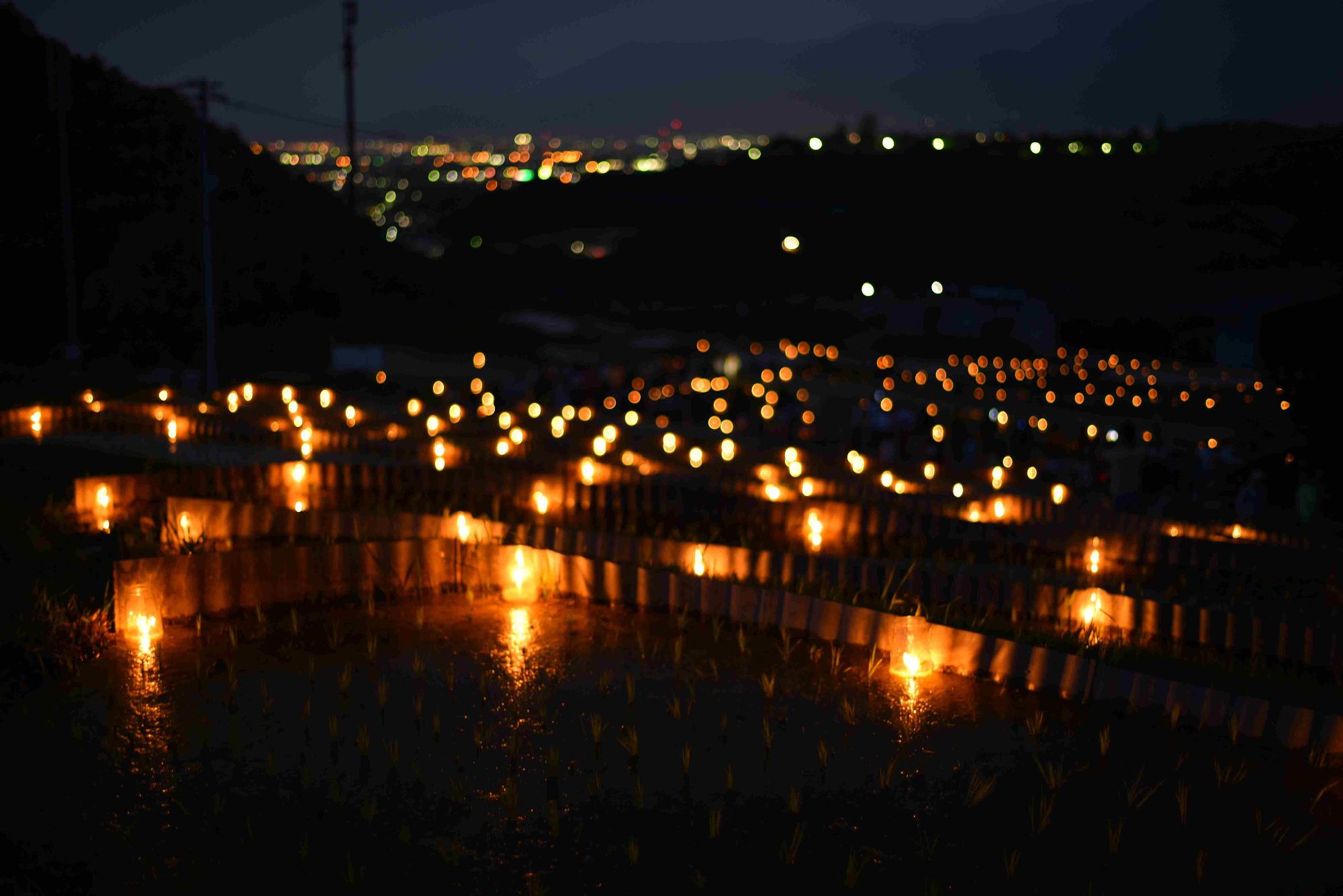 ろうそく祭り全景