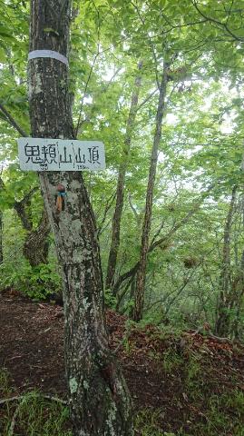 (写真)鬼頬山の登山道