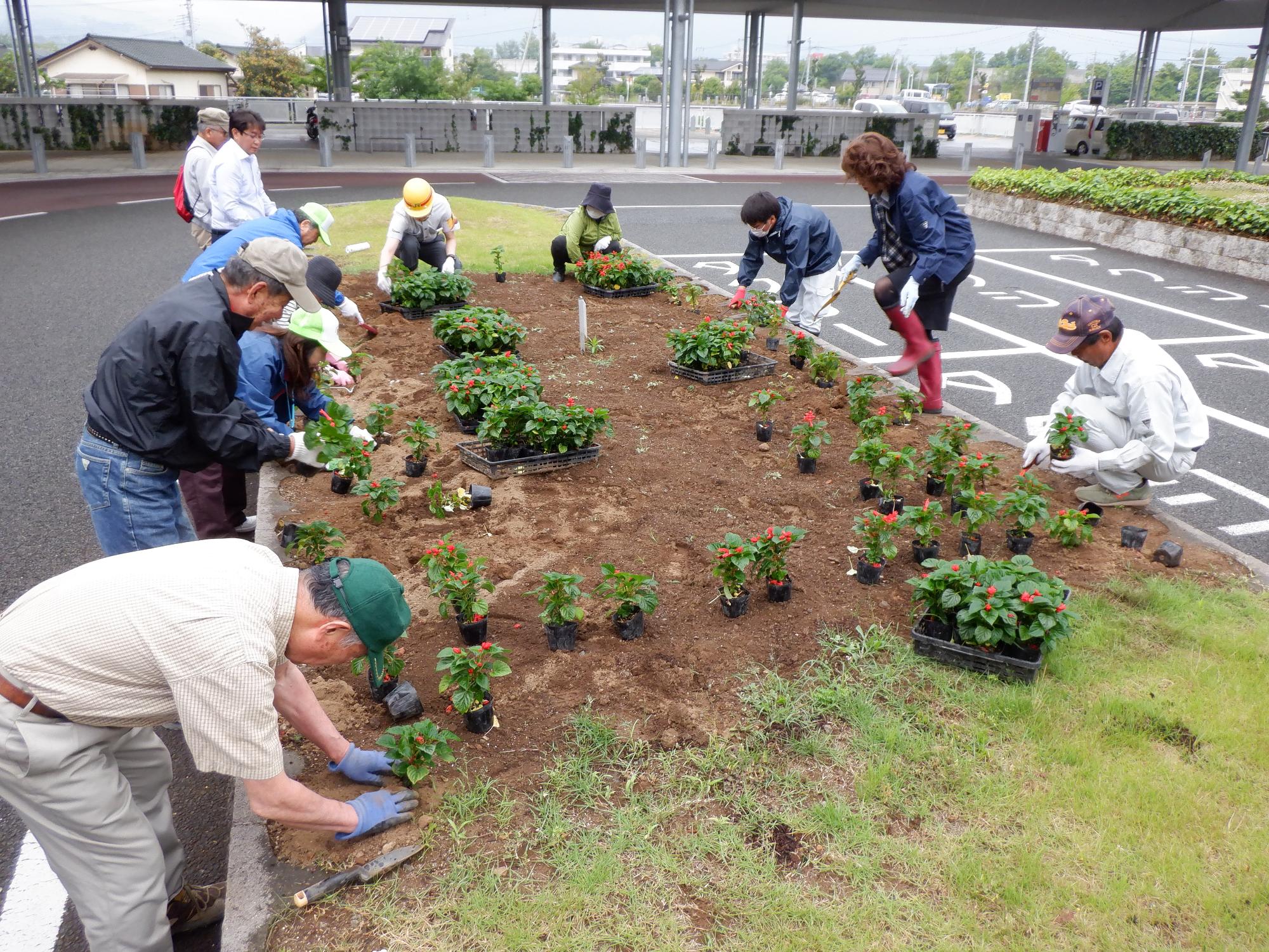 植花作業様子