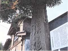 巨大な自然石で作られた赤坂供養塔の写真