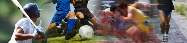 野球やサッカーなどの体育協会イメージ画像