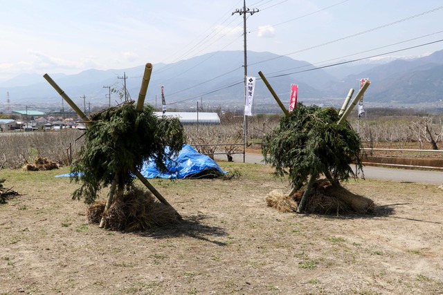 (写真)完成した大垈地区の狼煙2基