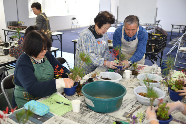 講師に教わりながら、小盆栽を完成させていく参加者の写真