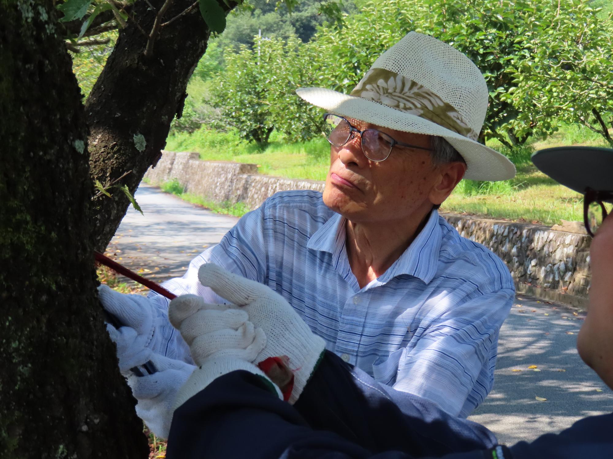 後ろ沢ため池クリーン作戦の写真