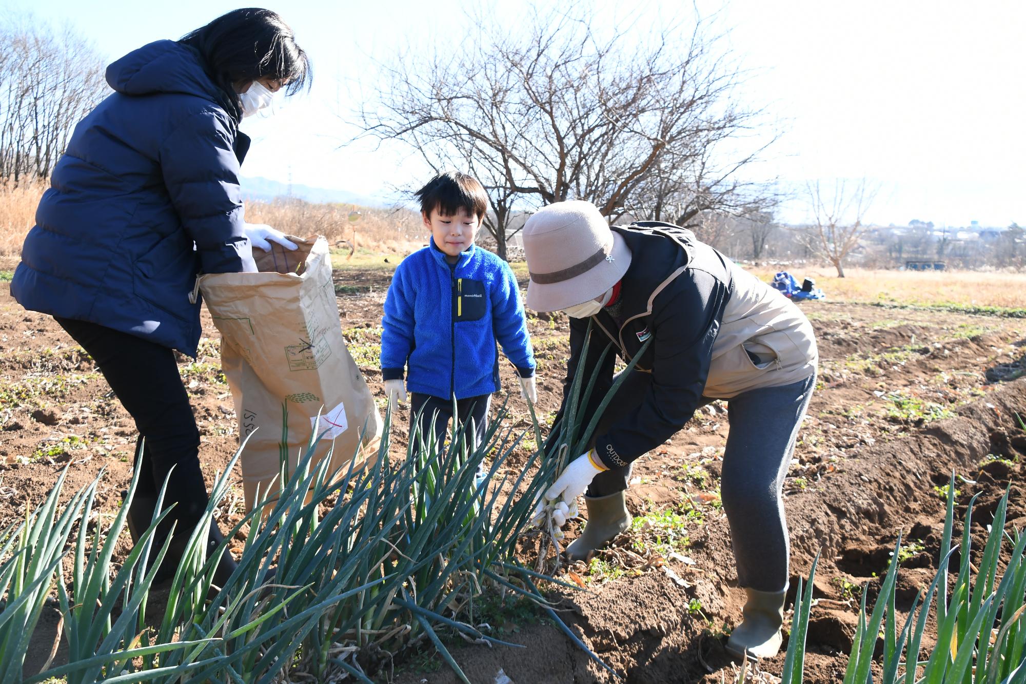 20231223ぎゅぎゅっとねぎ収穫体験1