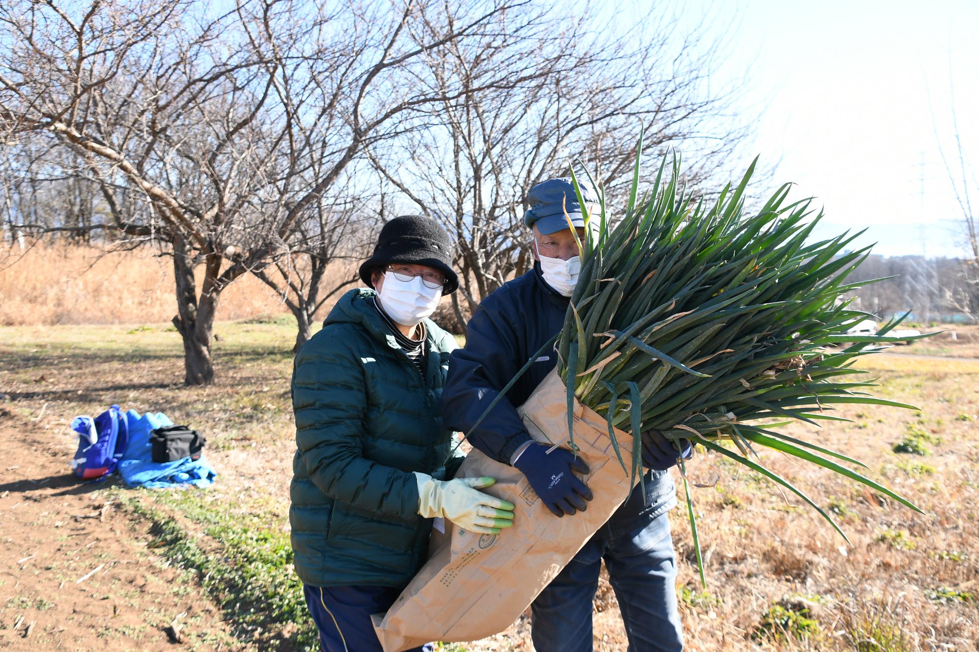 20231223ぎゅぎゅっとねぎ収穫体験5