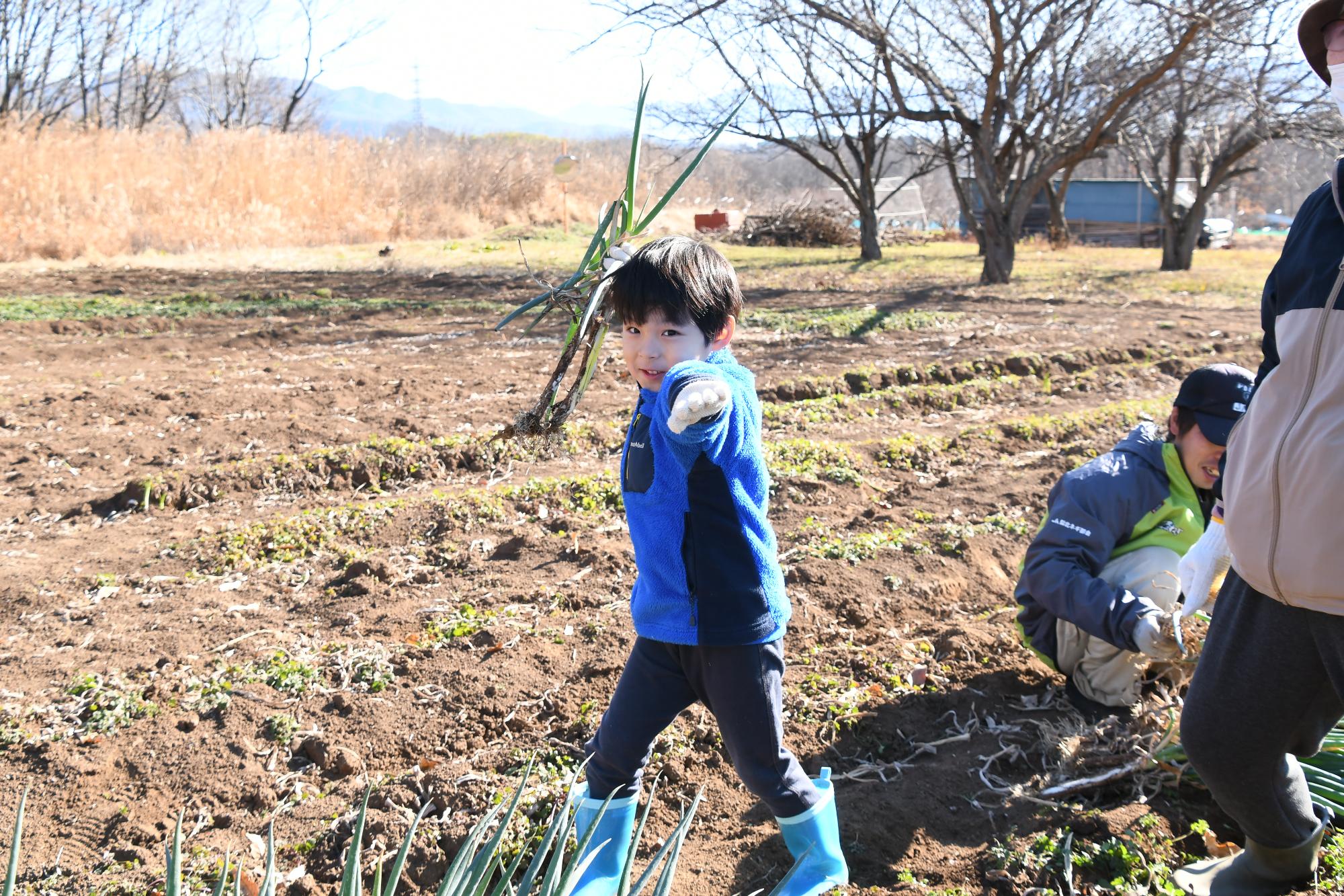 20231223ぎゅぎゅっとねぎ収穫体験6