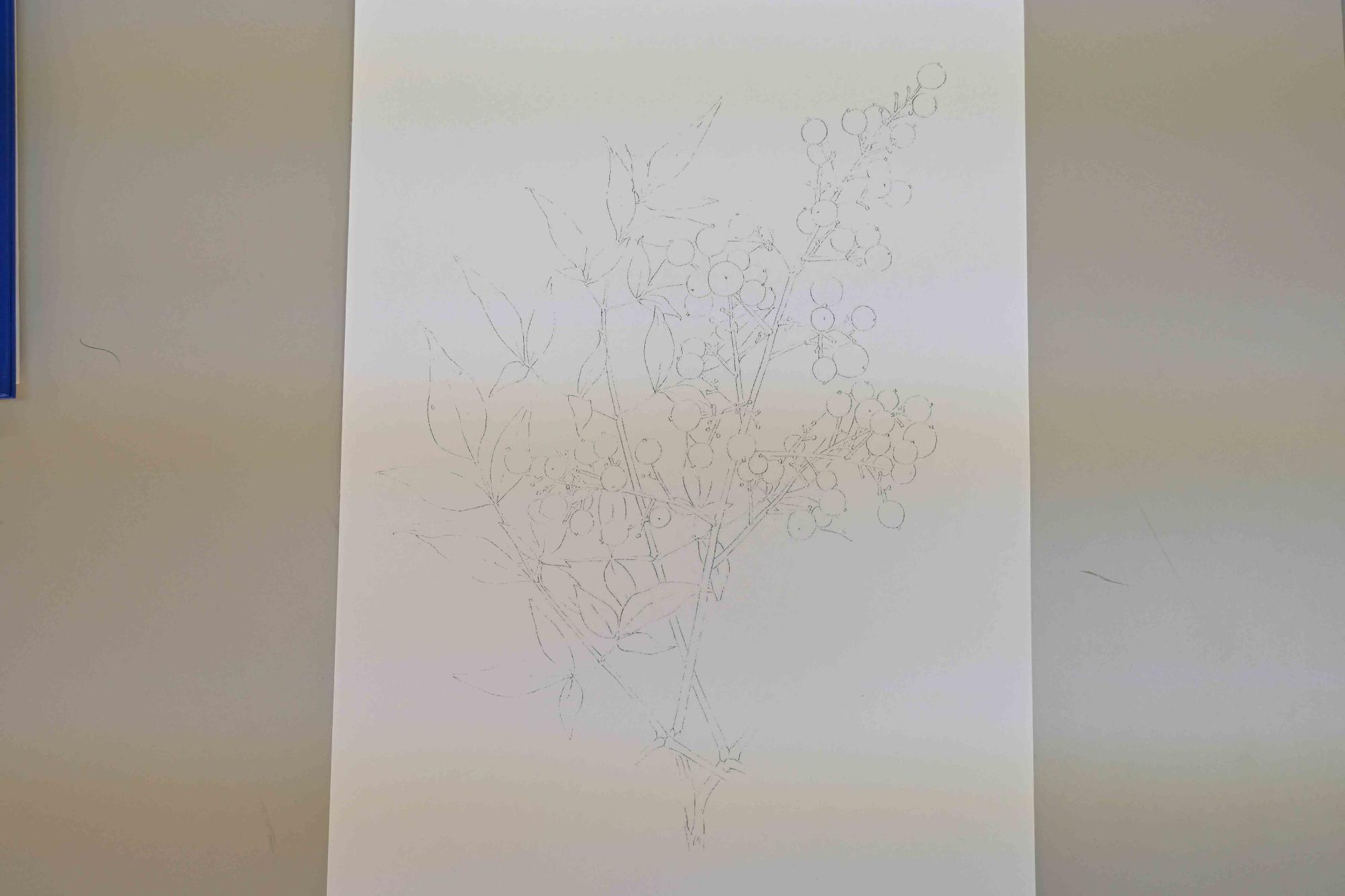 大人のぬり絵教室14