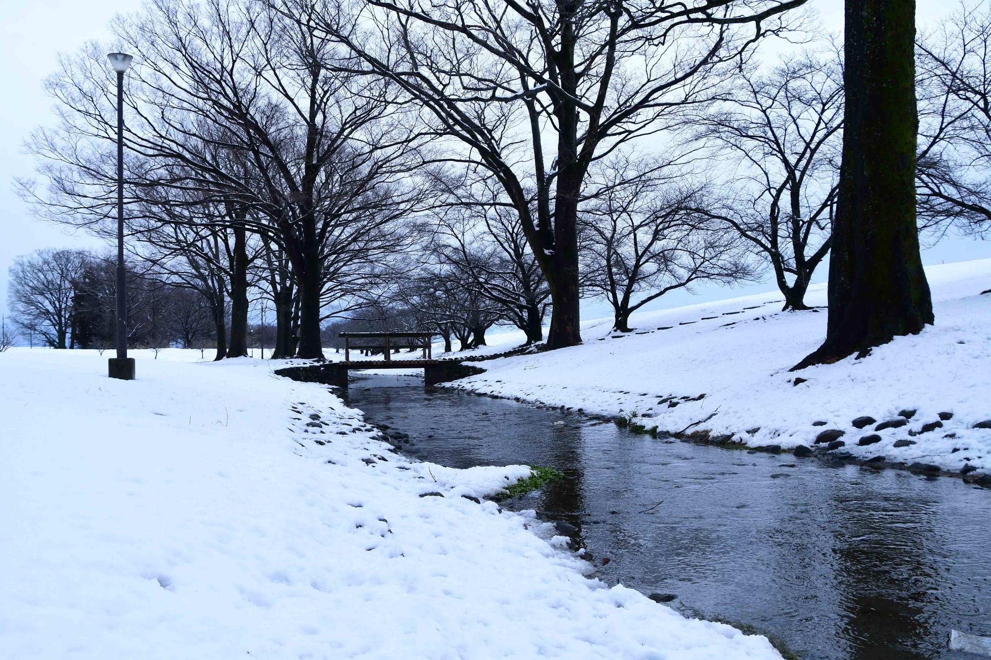 20240206市内に今年初めての積雪4
