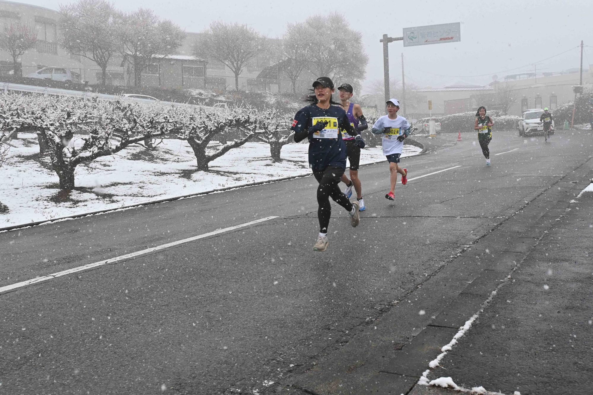 20240225甲斐梅の里クロスカントリー23