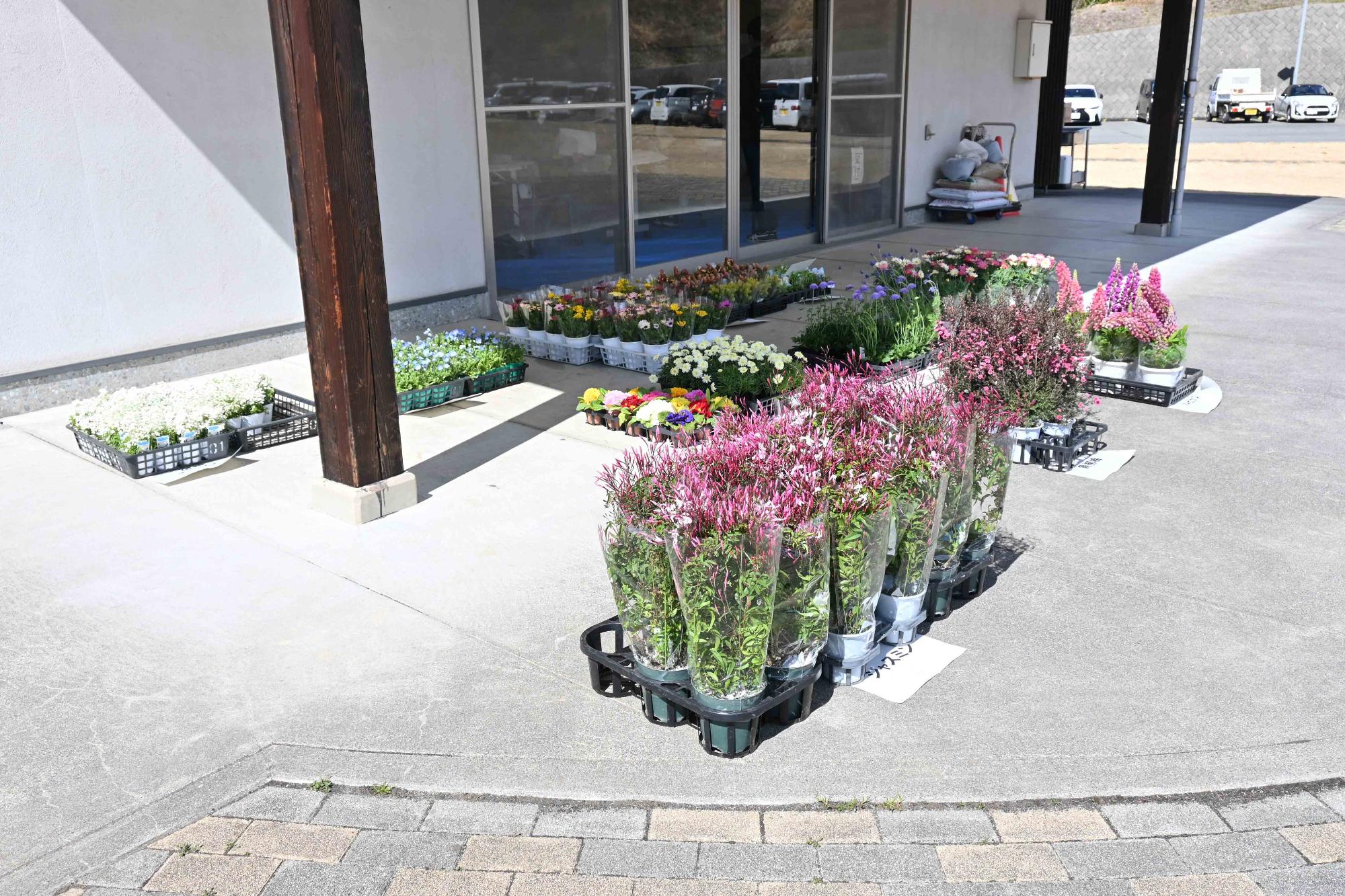 ふれ愛寄せ植え教室2