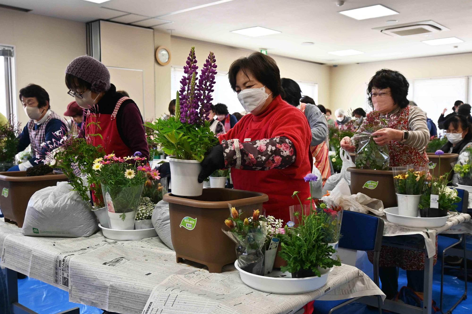 ふれ愛寄せ植え教室6