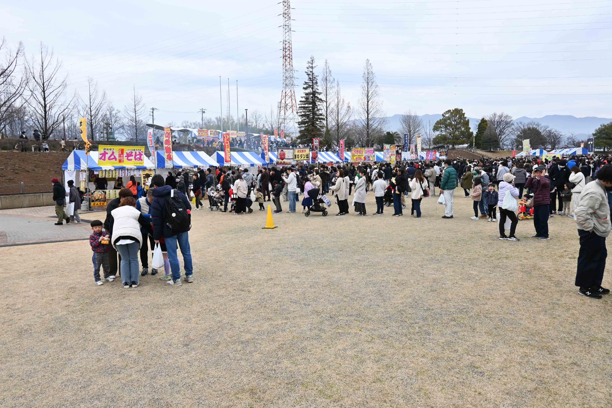 甲斐市サクラまつり11