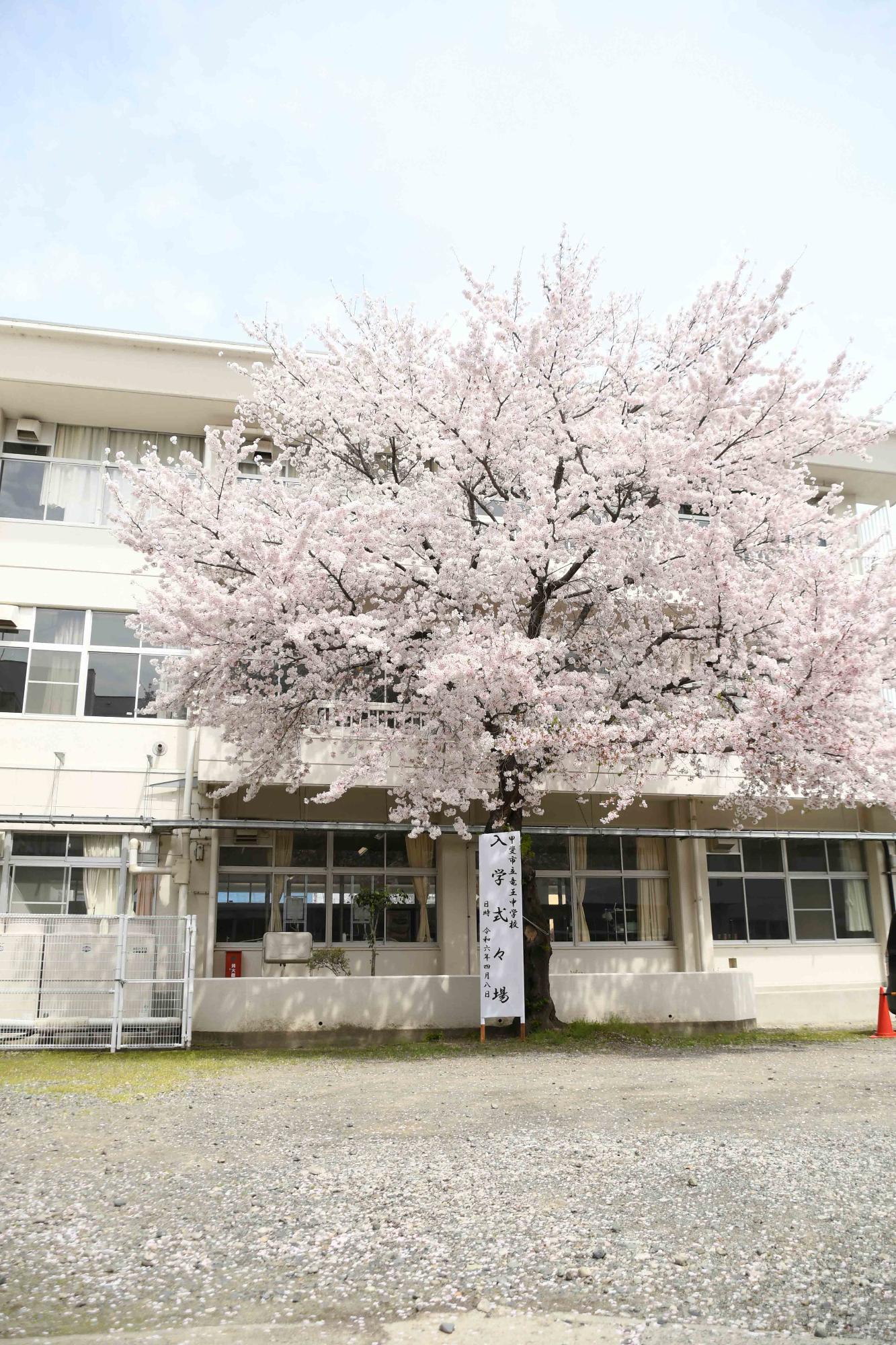 20240408竜王中学校入学式13