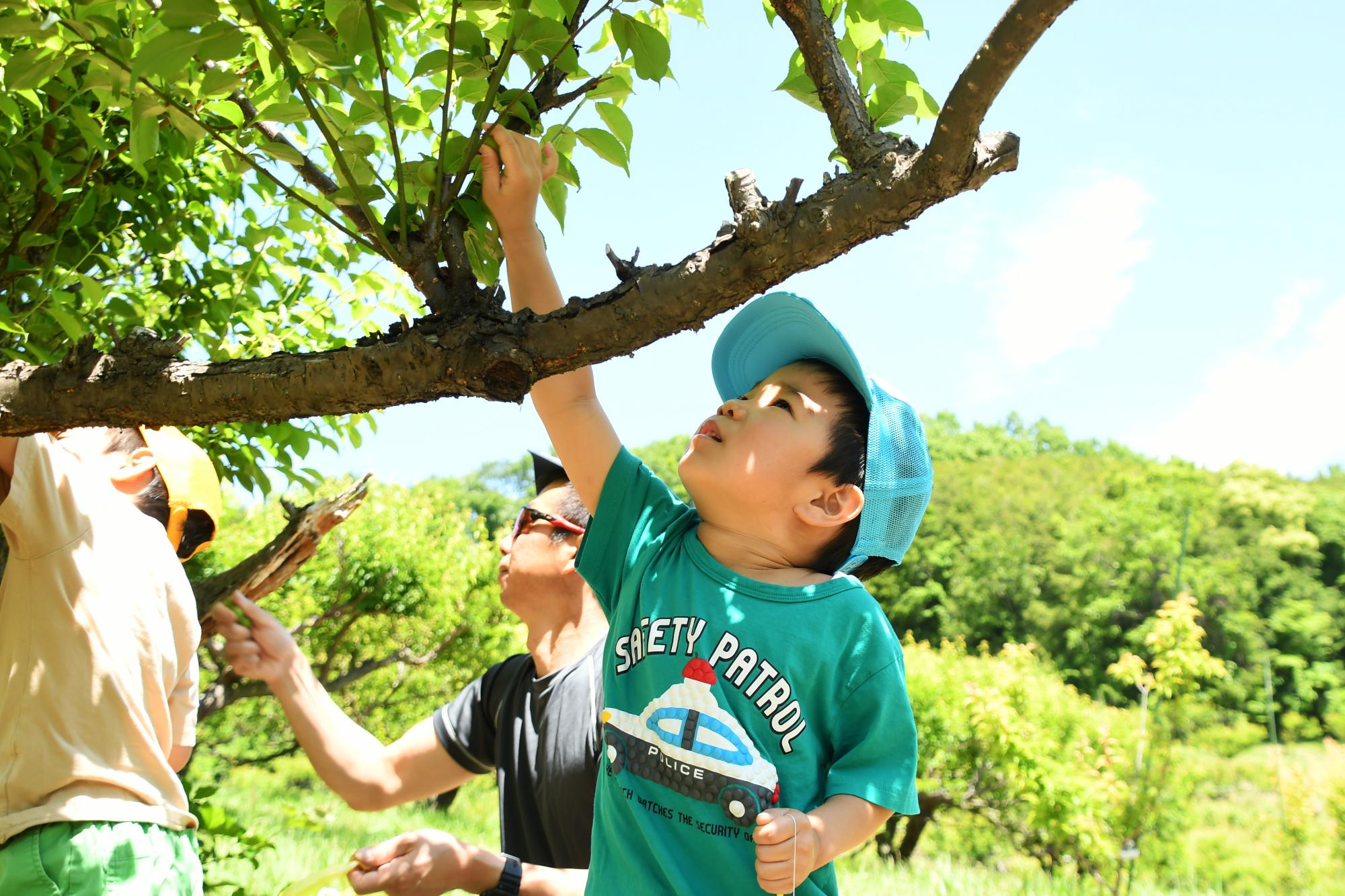 20240518観光巡回バス写真