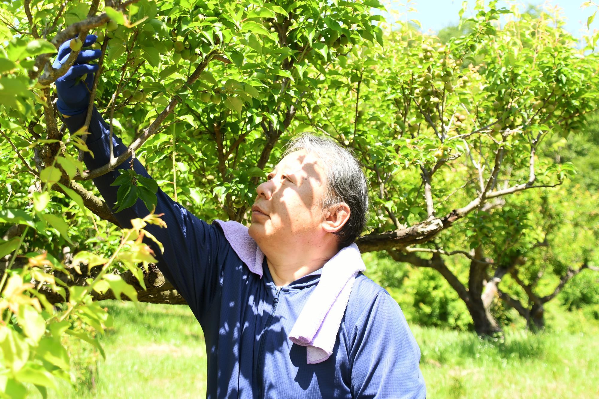 20240518観光巡回バス写真6