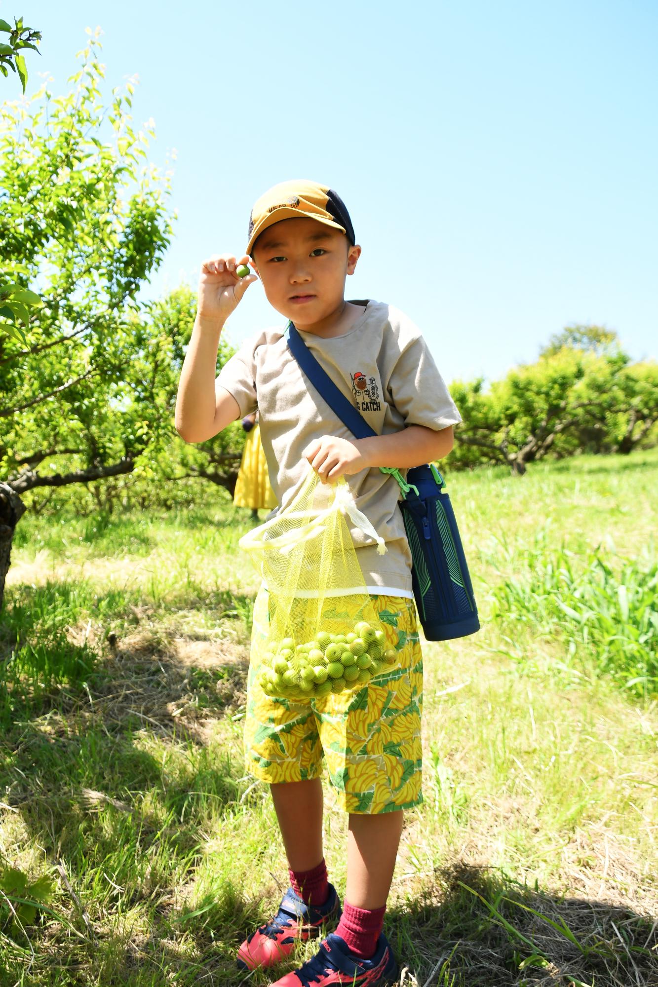 20240518観光巡回バス写真8