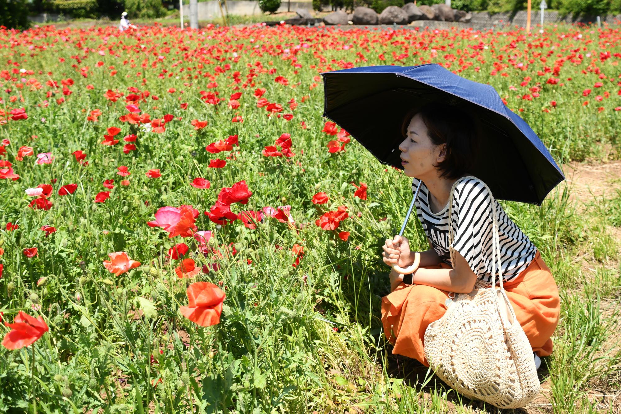 20240518観光巡回バス写真11