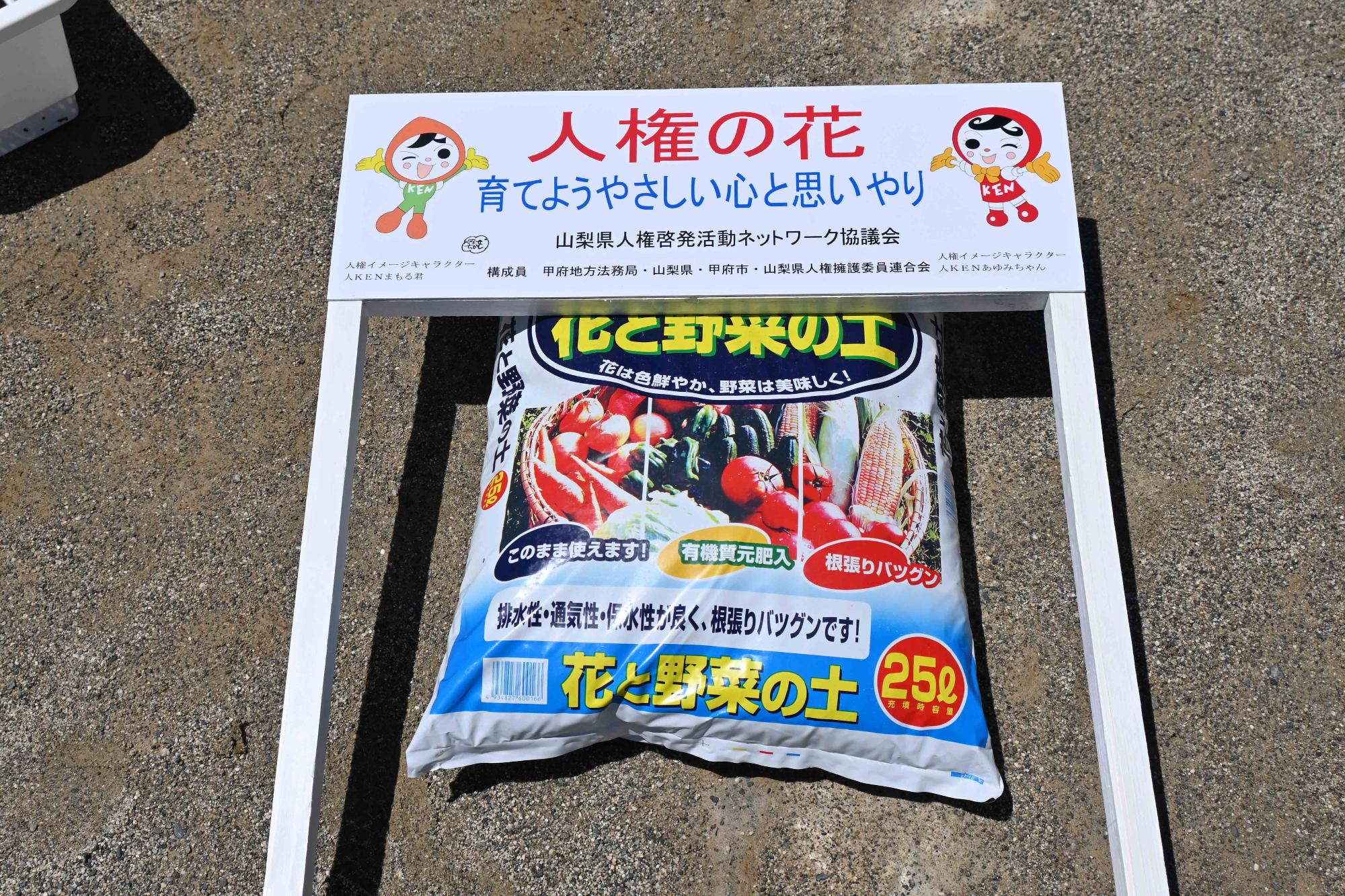 人権の花玉小14