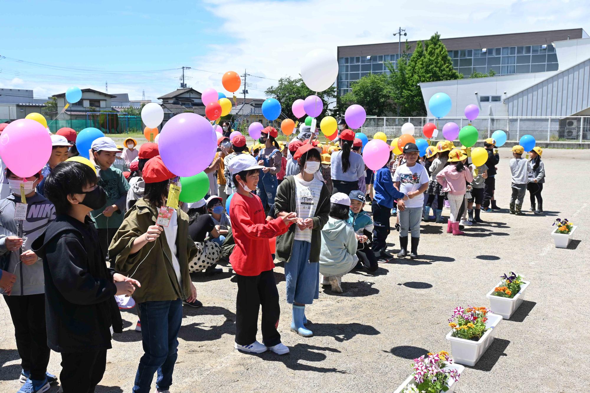 人権の花玉小16
