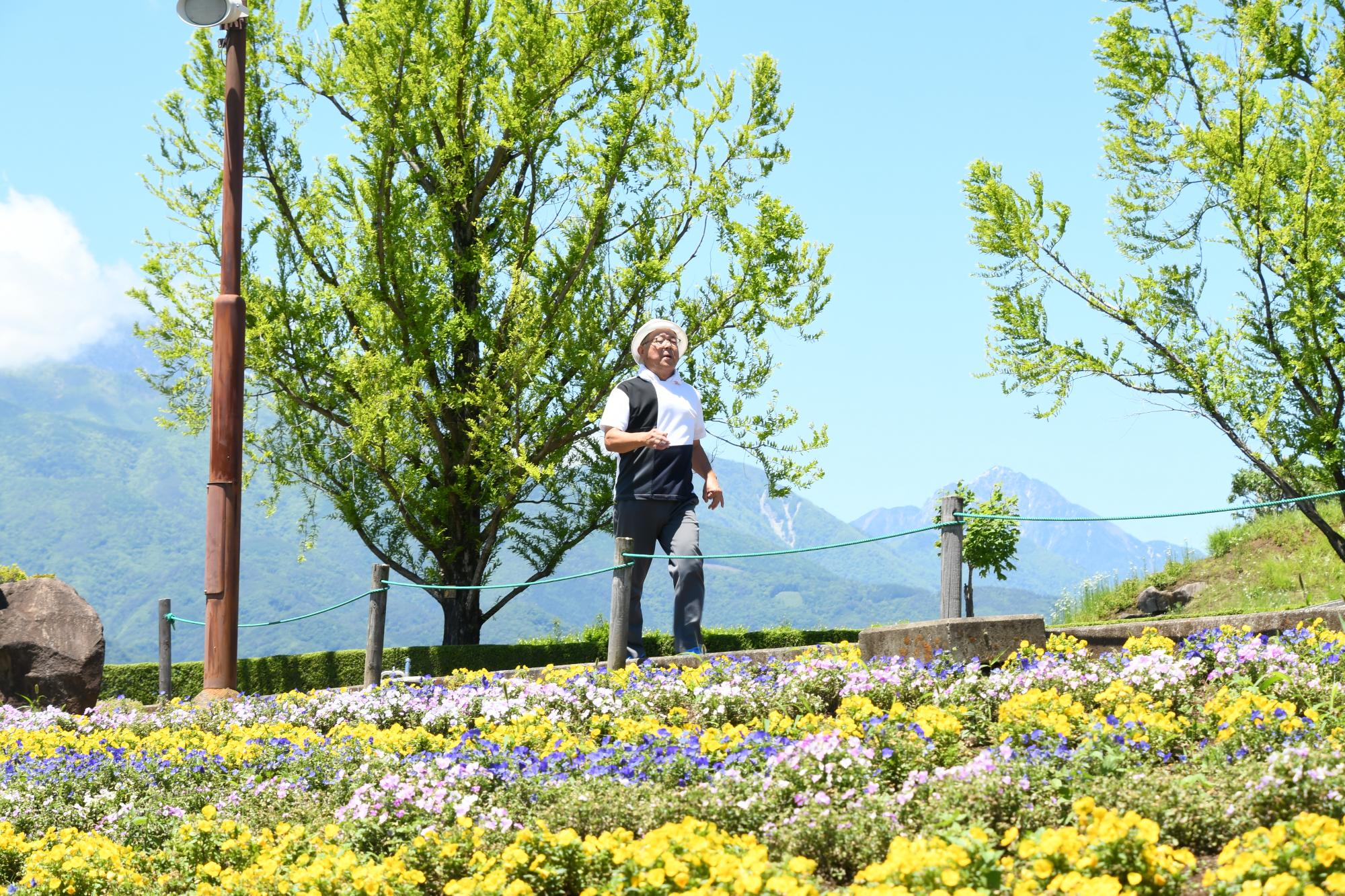 20240529高齢者歩け歩け大会6