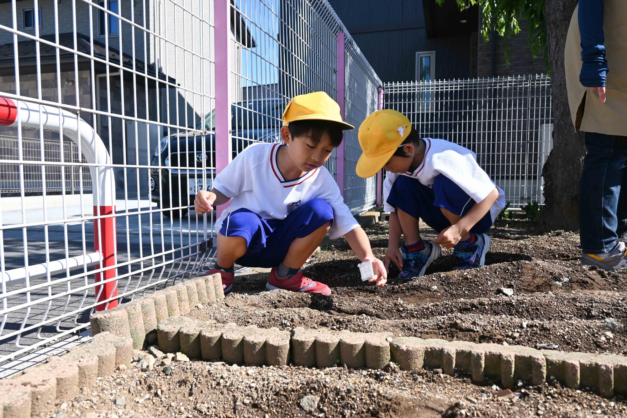 敷島南児童館タネ植え4