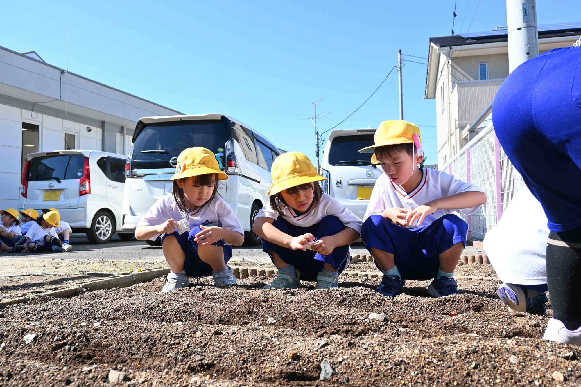 敷島南児童館タネ植え5