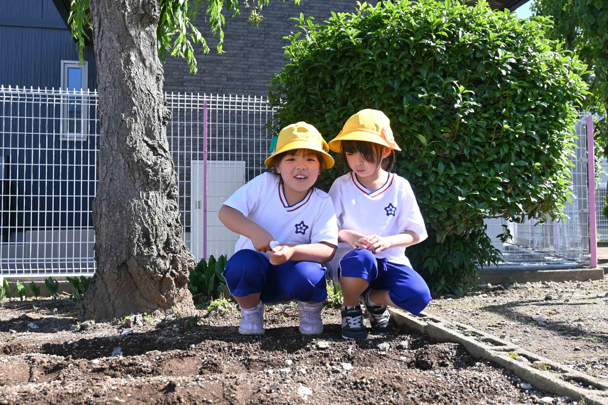 敷島南児童館タネ植え6