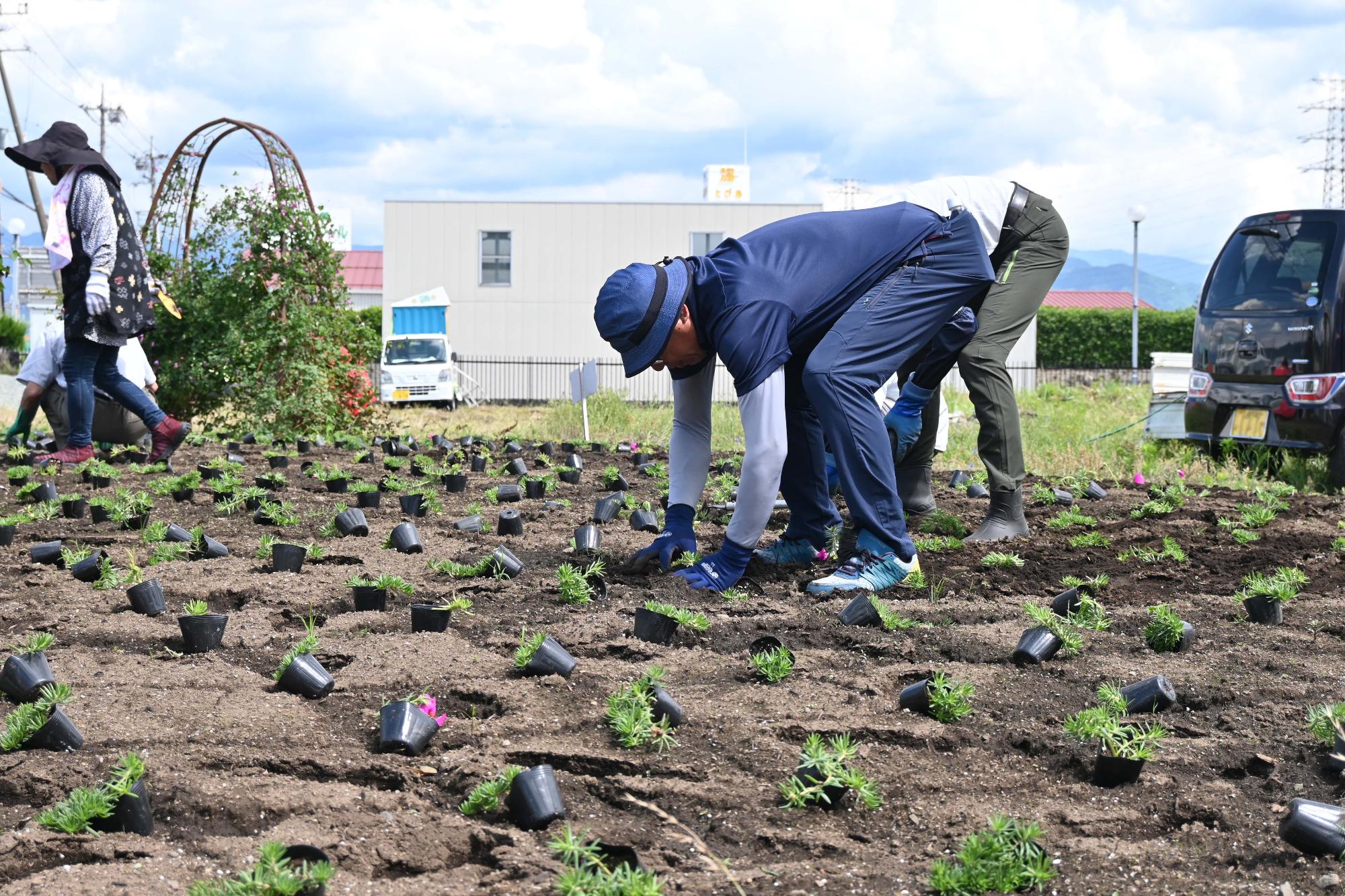 春の一斉植花10