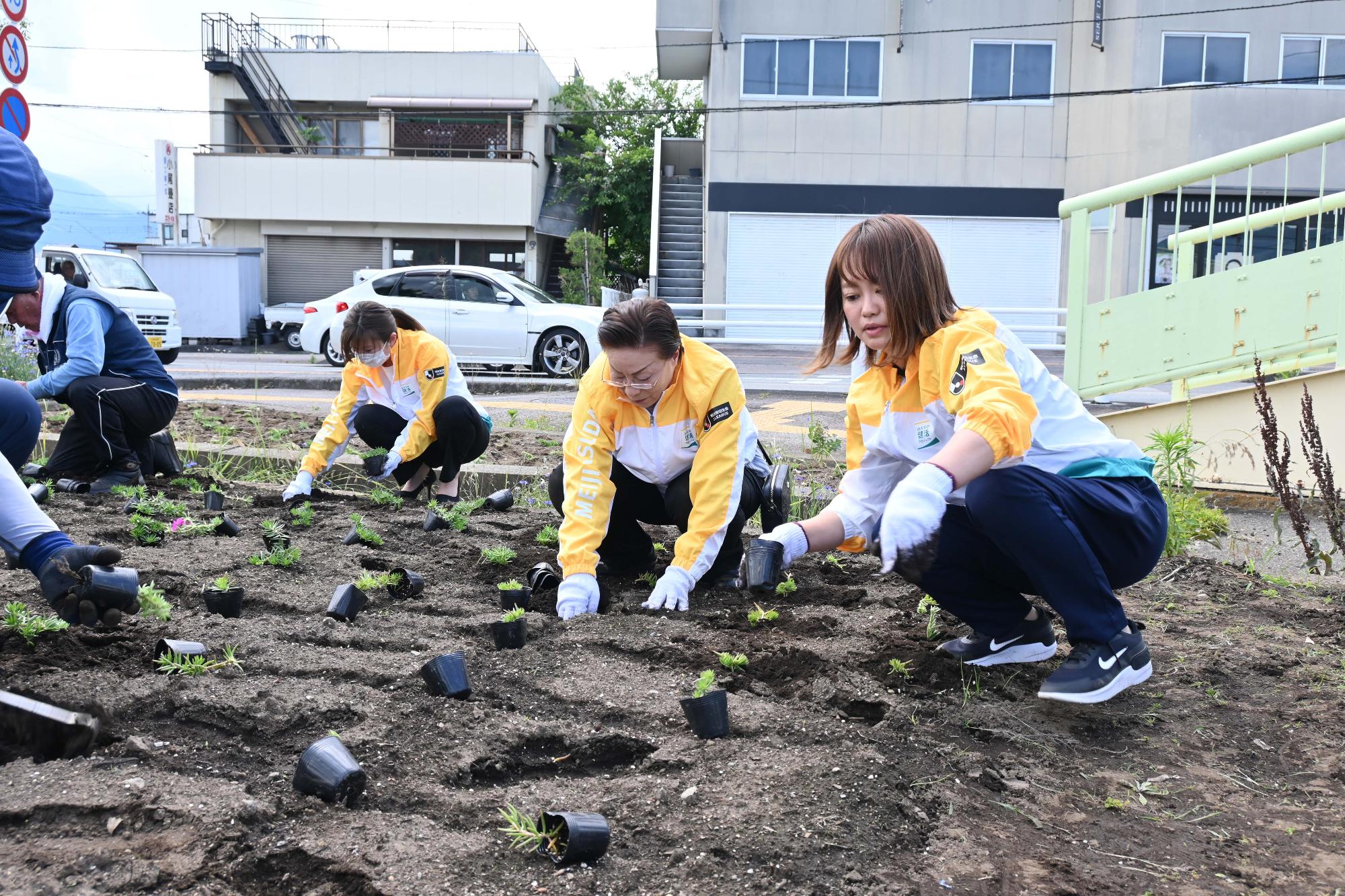 春の一斉植花14