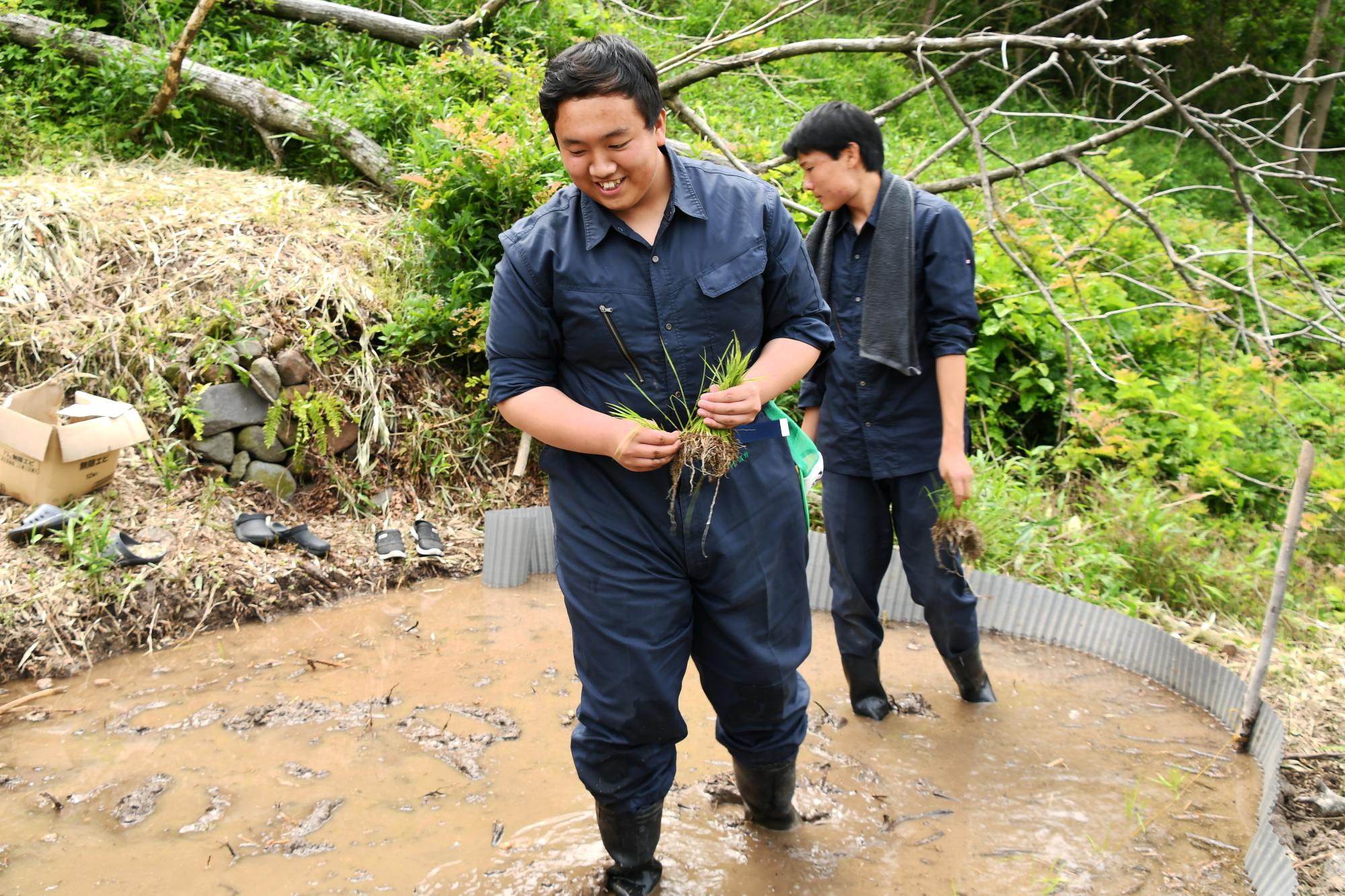 20240607亀沢地内田植え2