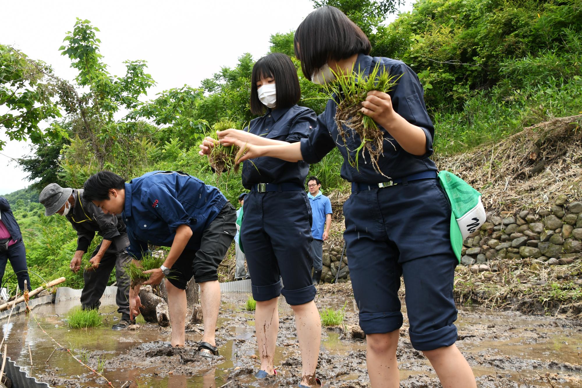 20240607亀沢地内田植え3