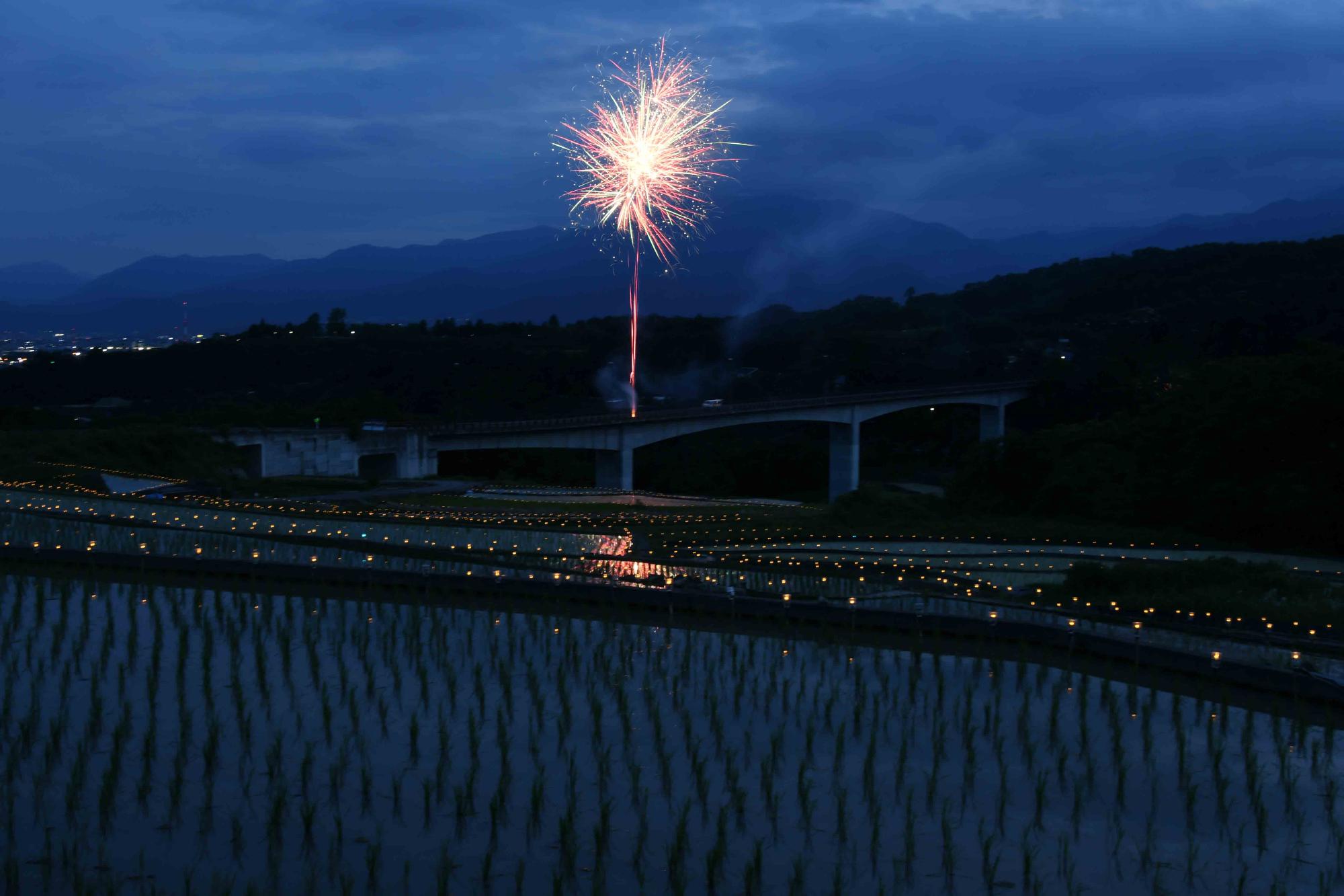 20240608御領棚田のイルミネーション5