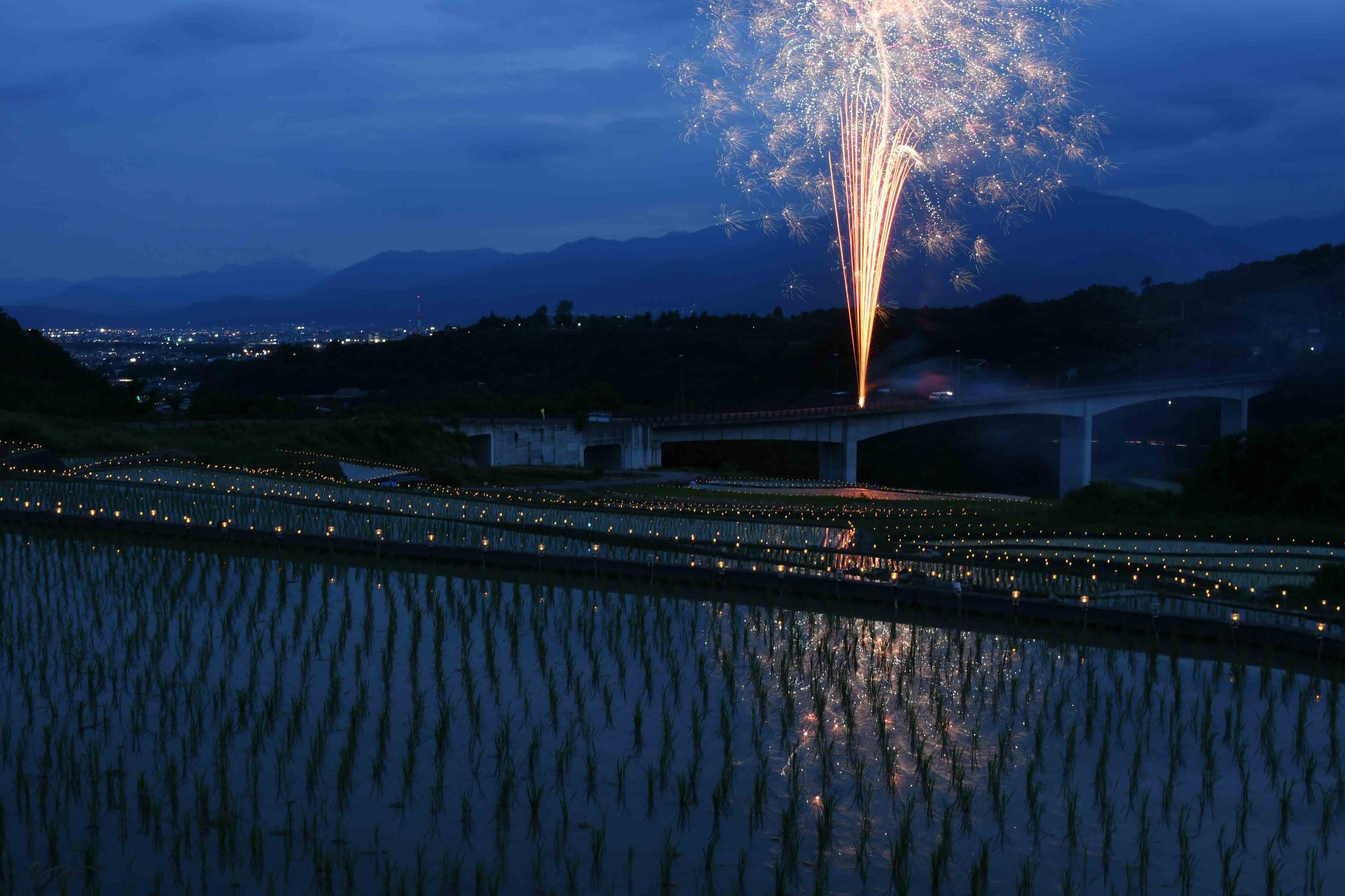 20240608御領棚田のイルミネーション6