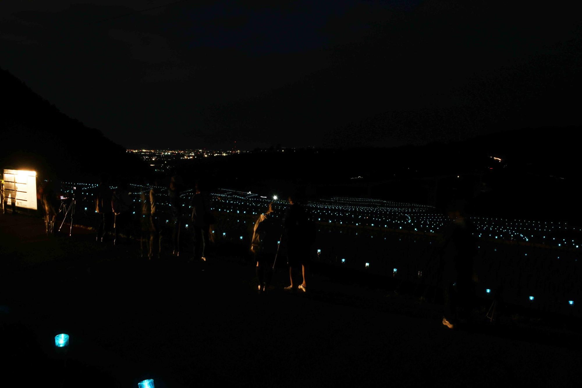 20240608御領棚田のイルミネーション9