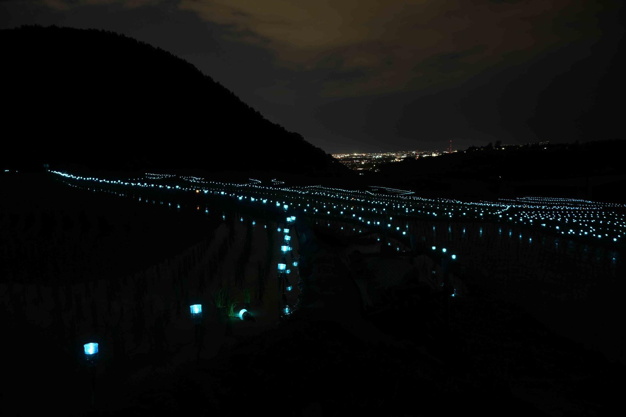 20240608御領棚田のイルミネーション10