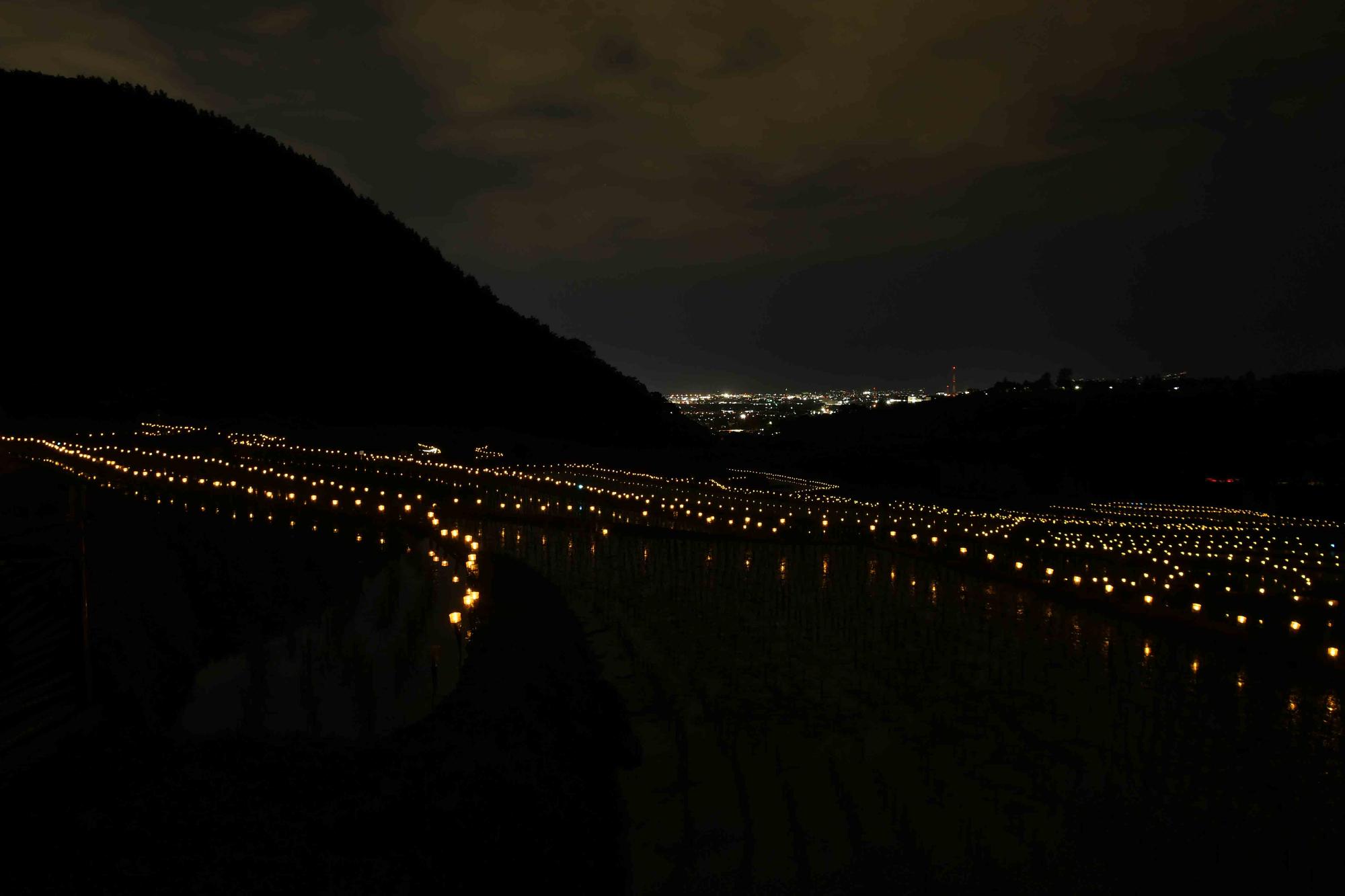 20240608御領棚田のイルミネーション11