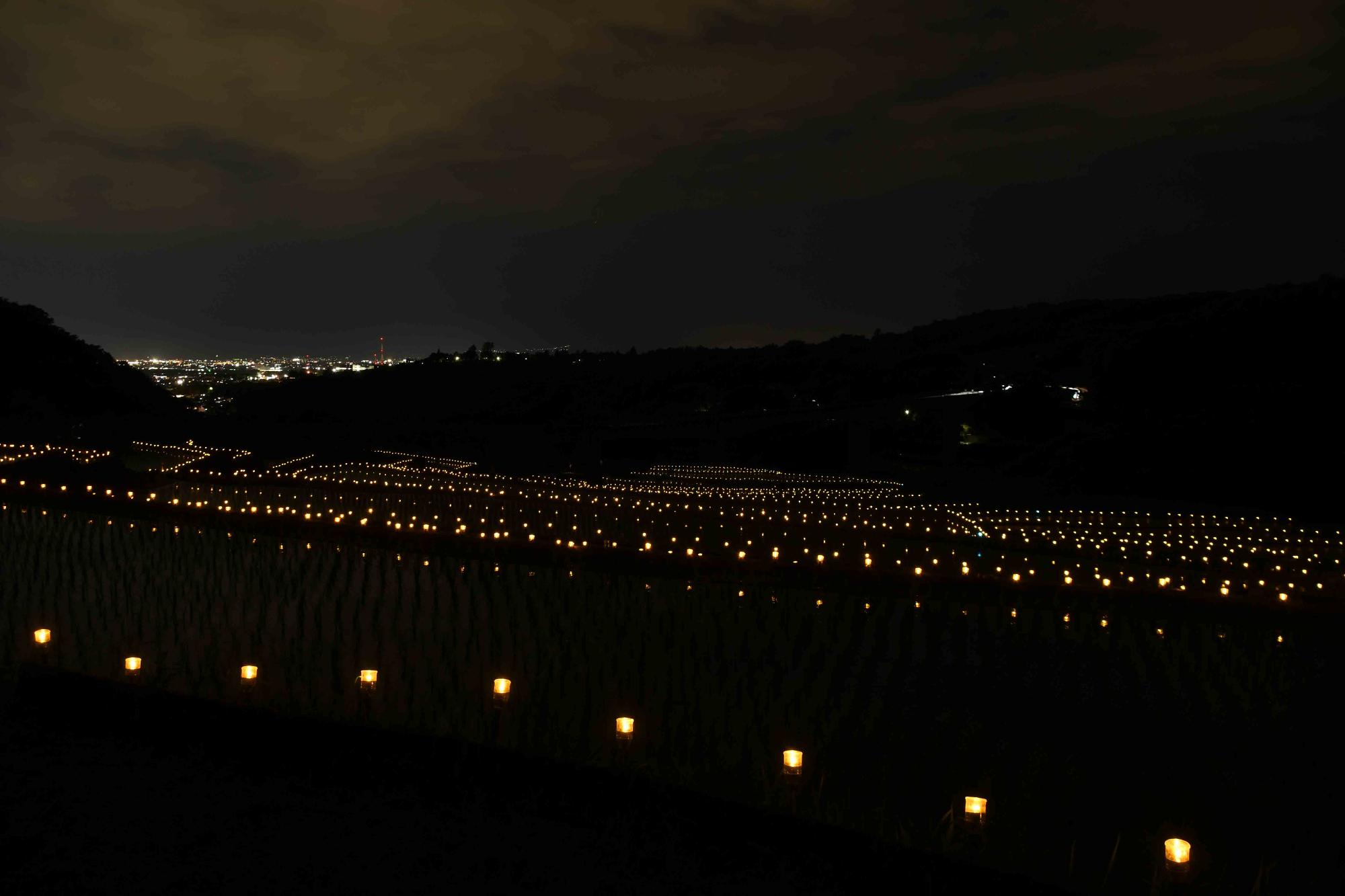 20240608御領棚田のイルミネーション12