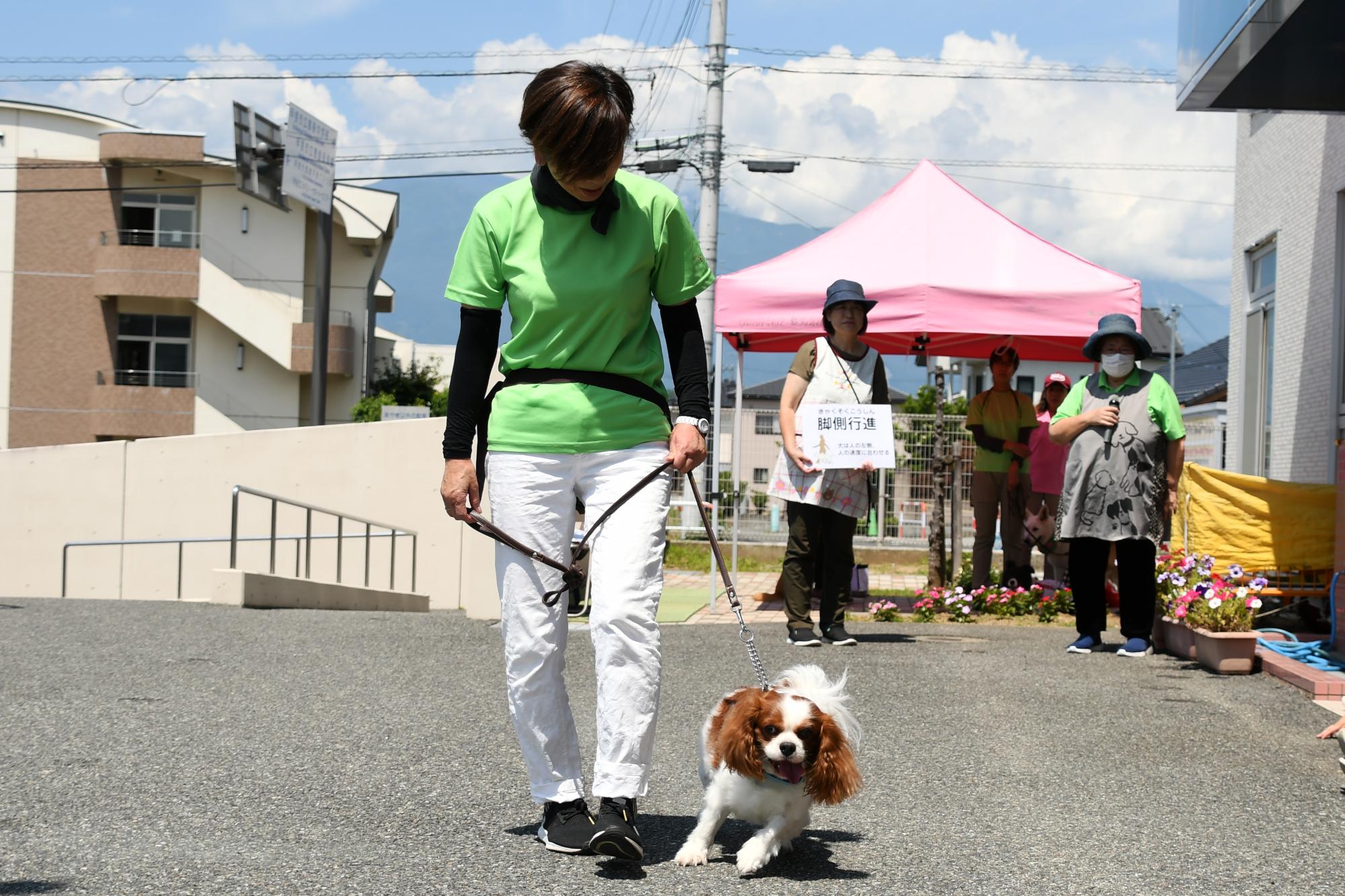 20240612セラピードッグ3