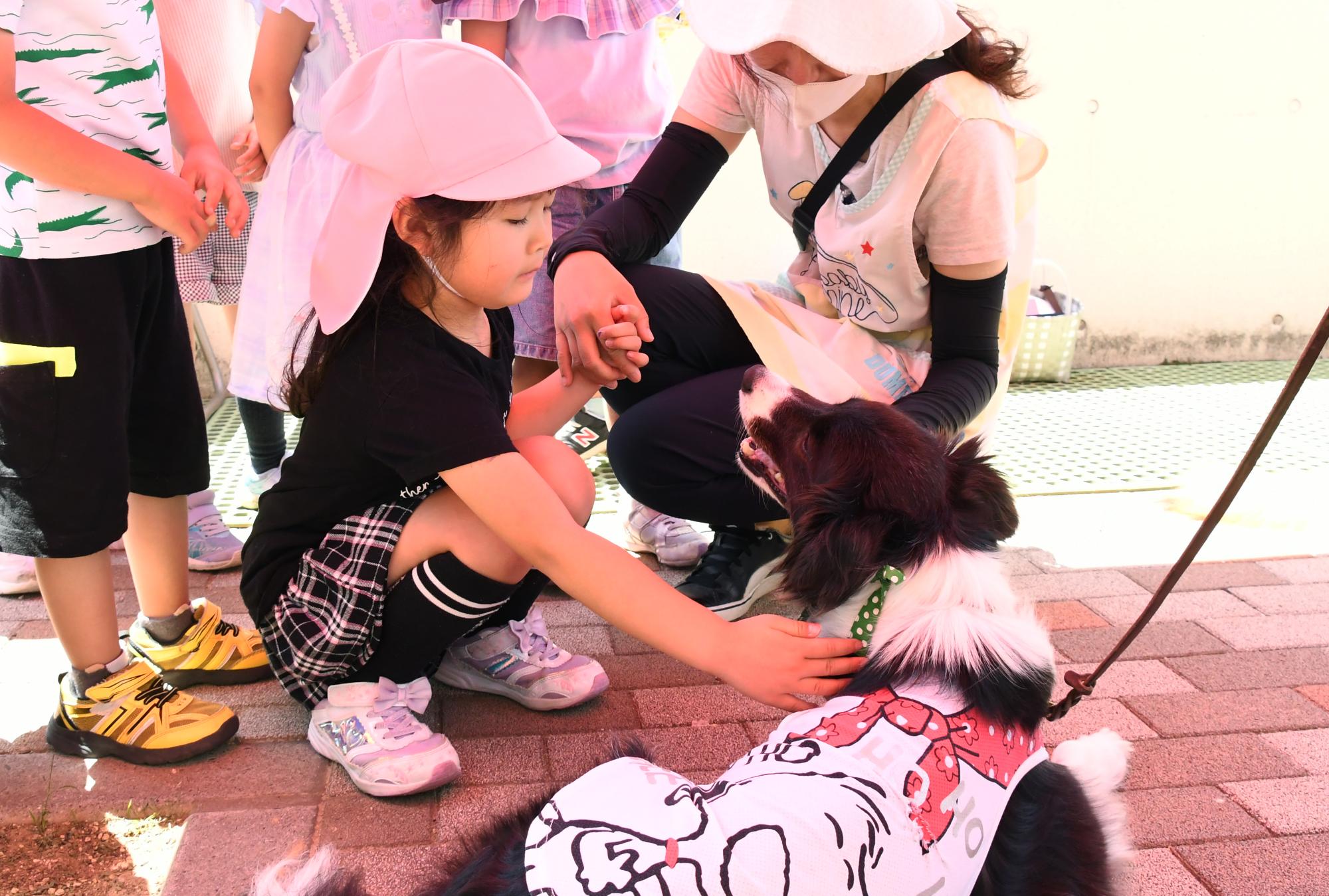 20240612セラピードッグ7