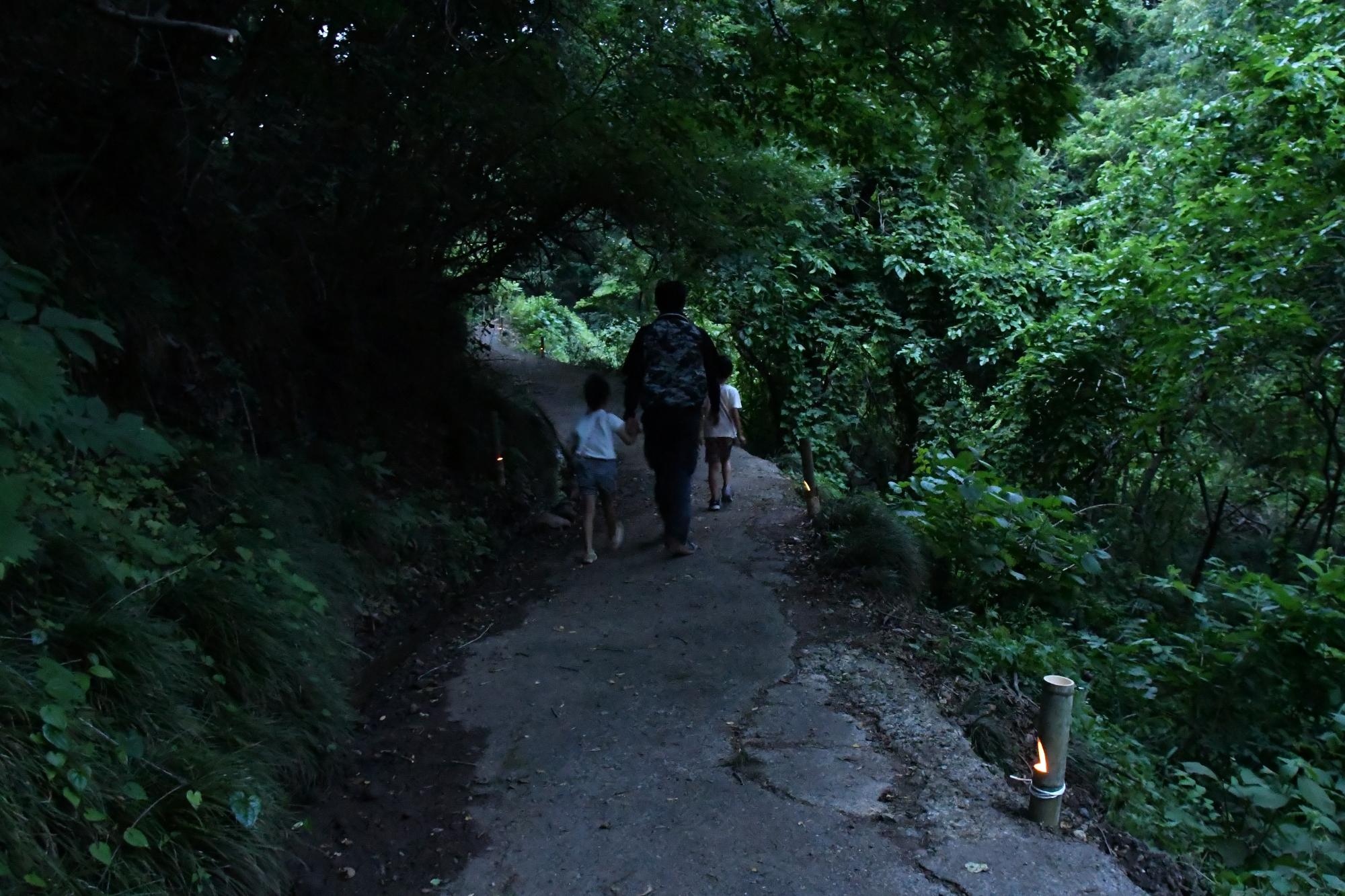 20240615ホタルまつり5