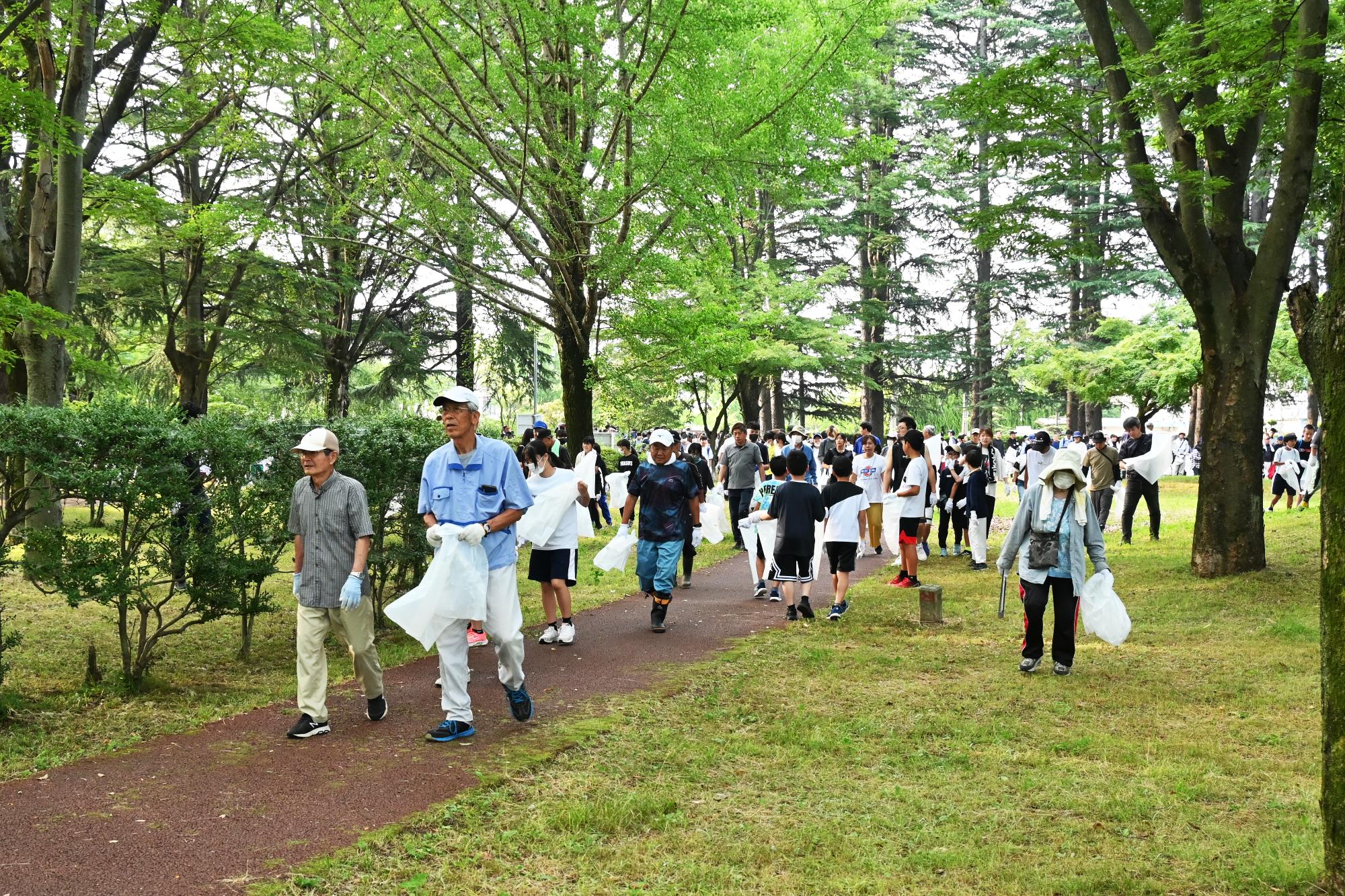 20240706河川清掃・オオキンケイギク除去1
