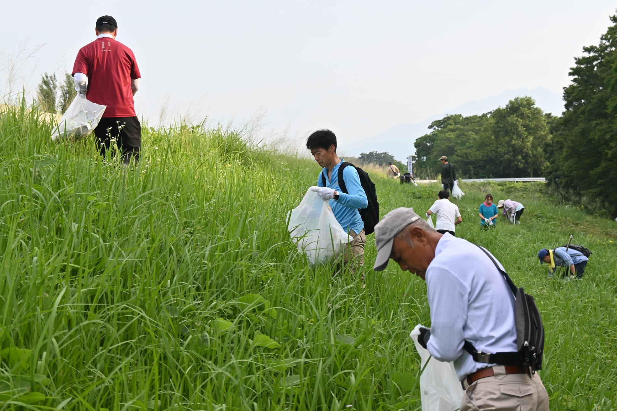 20240706河川清掃・オオキンケイギク除去6
