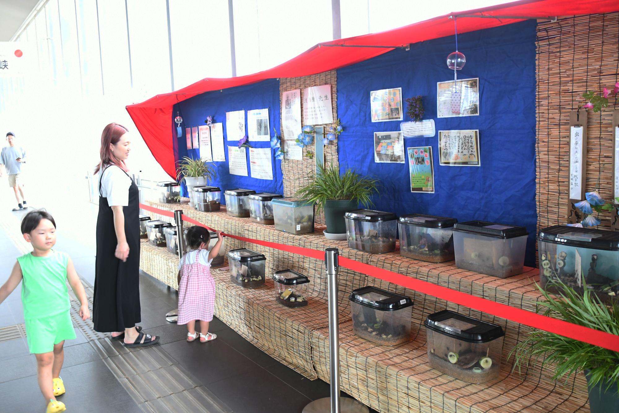 20240728鈴虫の声を聴く甲斐2