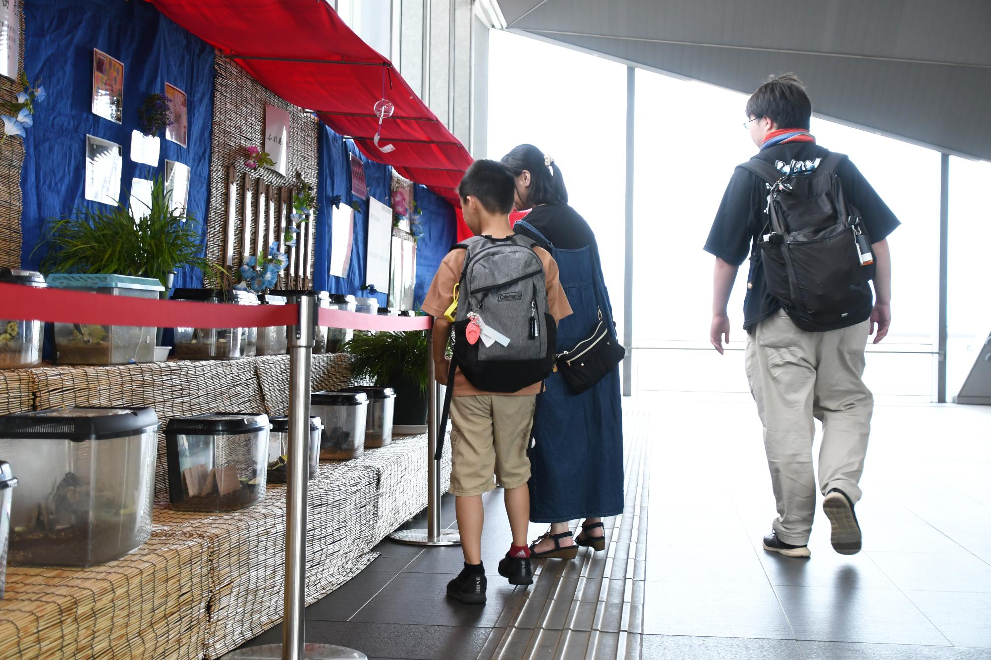 20240728鈴虫の声を聴く甲斐3