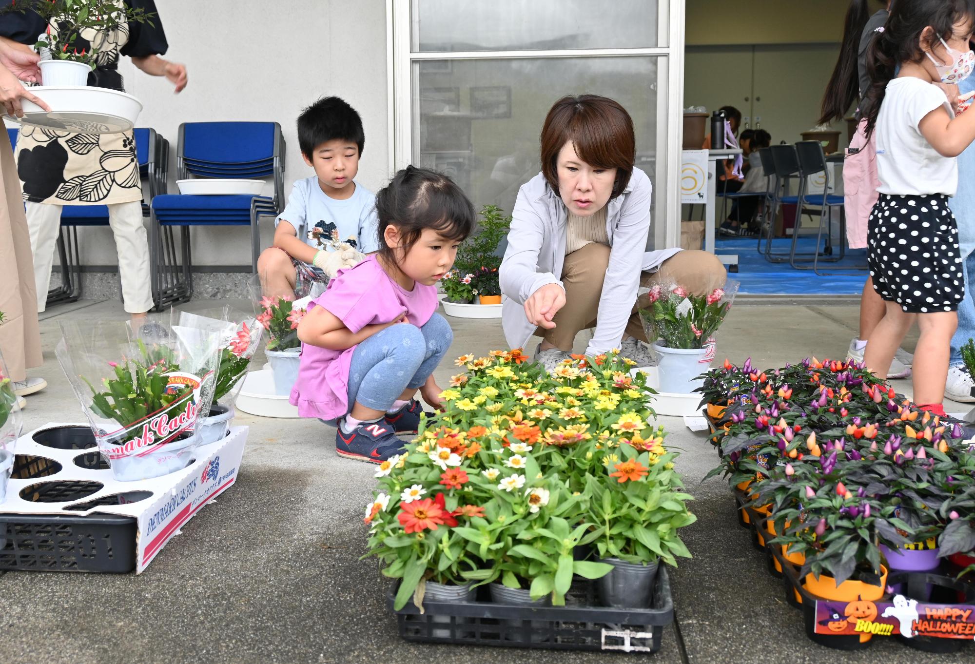 親子ふれ愛寄せ植え教室3