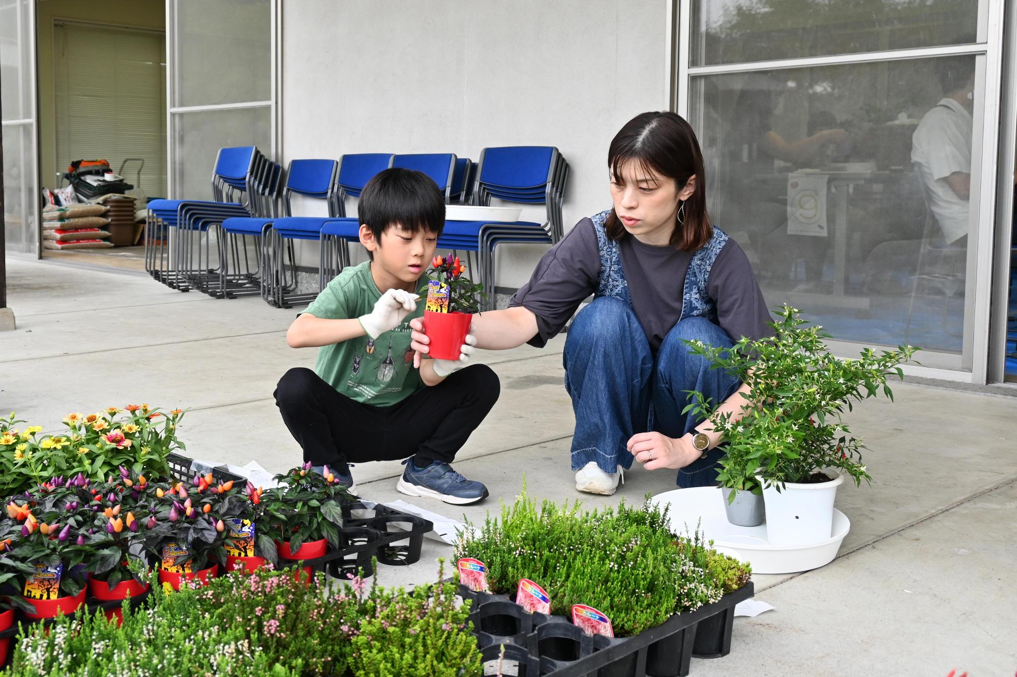 親子ふれ愛寄せ植え教室4