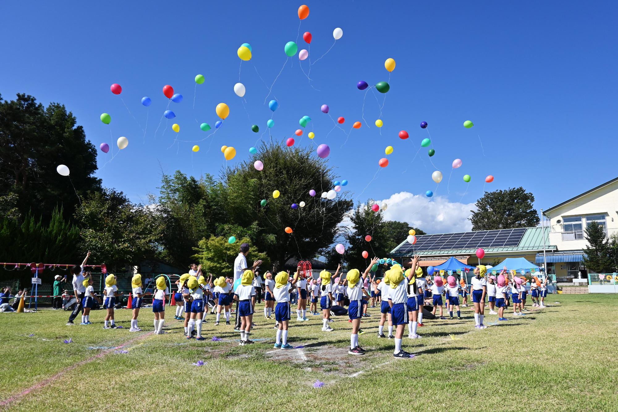 中央保育園運動会14